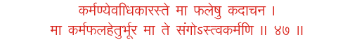 shree bhagvat gita shlok karmanye vadhikaraste